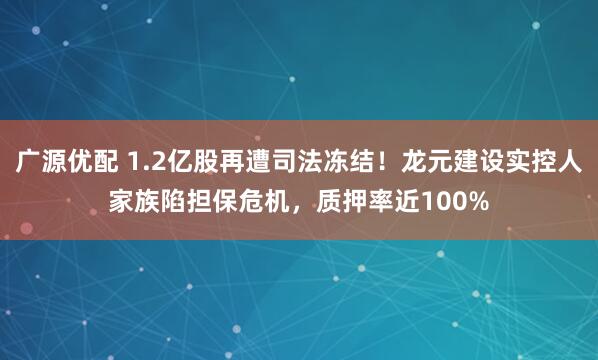 广源优配 1.2亿股再遭司法冻结！龙元建设实控人家族陷担保危机，质押率近100%