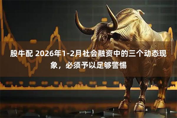 股牛配 2026年1-2月社会融资中的三个动态现象，必须予以足够警惕