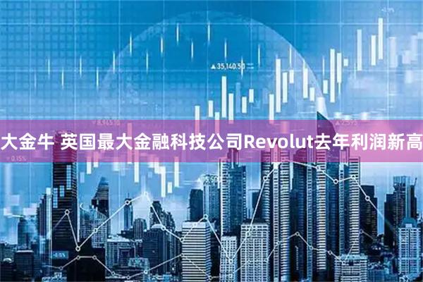 大金牛 英国最大金融科技公司Revolut去年利润新高