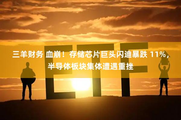 三羊财务 血崩！存储芯片巨头闪迪暴跌 11%，半导体板块集体遭遇重挫