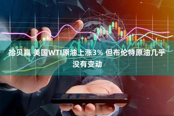 拾贝赢 美国WTI原油上涨3% 但布伦特原油几乎没有变动