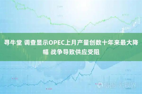 寻牛堂 调查显示OPEC上月产量创数十年来最大降幅 战争导致供应受阻
