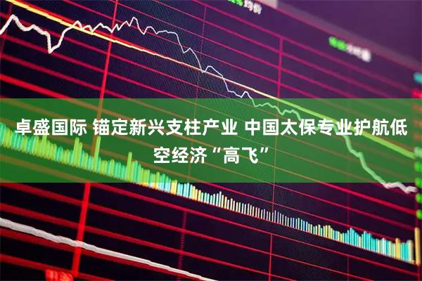 卓盛国际 锚定新兴支柱产业 中国太保专业护航低空经济“高飞”