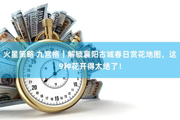火星策略 九宫格｜解锁襄阳古城春日赏花地图，这9种花开得太绝了！