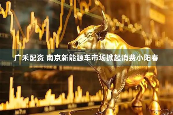 广禾配资 南京新能源车市场掀起消费小阳春