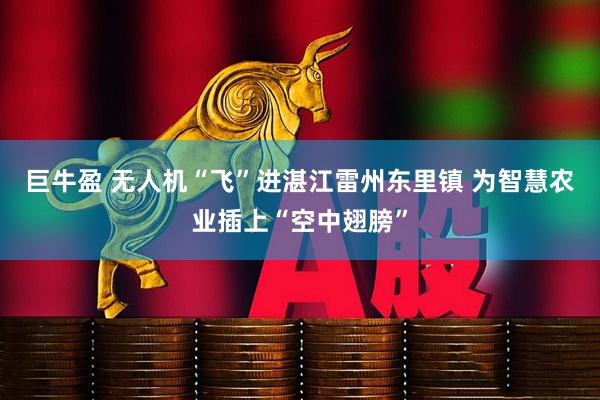 巨牛盈 无人机“飞”进湛江雷州东里镇 为智慧农业插上“空中翅膀”