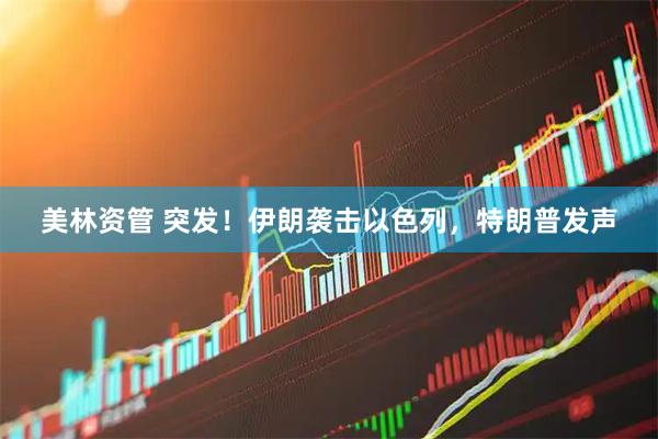 美林资管 突发！伊朗袭击以色列，特朗普发声