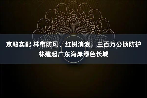 京融实配 林带防风、红树消浪，三百万公顷防护林建起广东海岸绿色长城