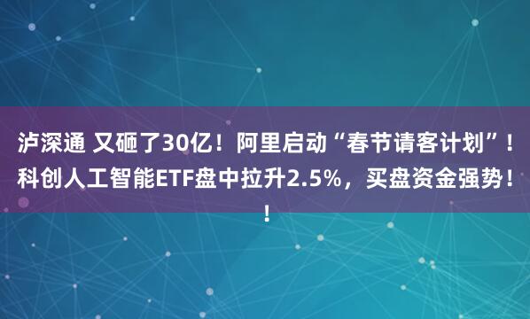 泸深通 又砸了30亿！阿里启动“春节请客计划”！科创人工智能ETF盘中拉升2.5%，买盘资金强势！