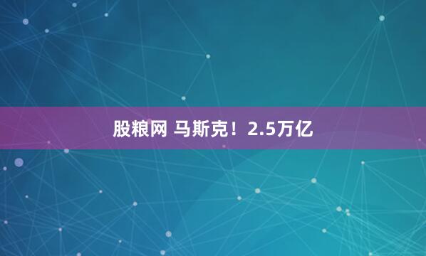 股粮网 马斯克！2.5万亿