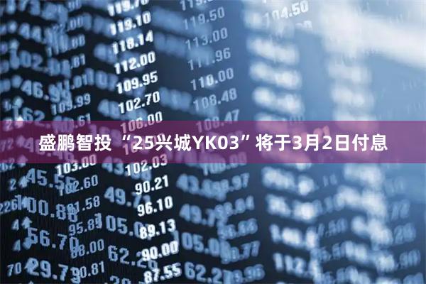 盛鹏智投 “25兴城YK03”将于3月2日付息
