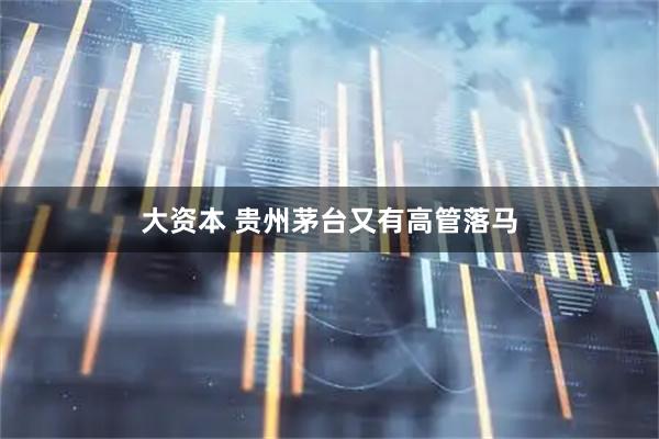 大资本 贵州茅台又有高管落马