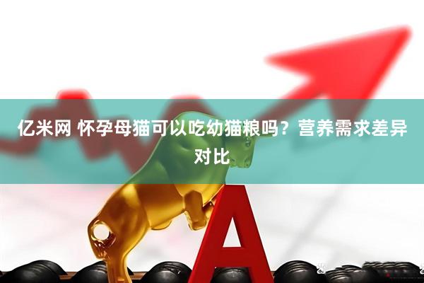 亿米网 怀孕母猫可以吃幼猫粮吗？营养需求差异对比