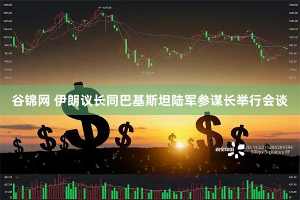 谷锦网 伊朗议长同巴基斯坦陆军参谋长举行会谈