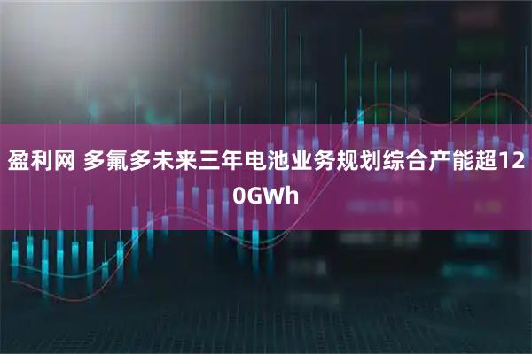 盈利网 多氟多未来三年电池业务规划综合产能超120GWh