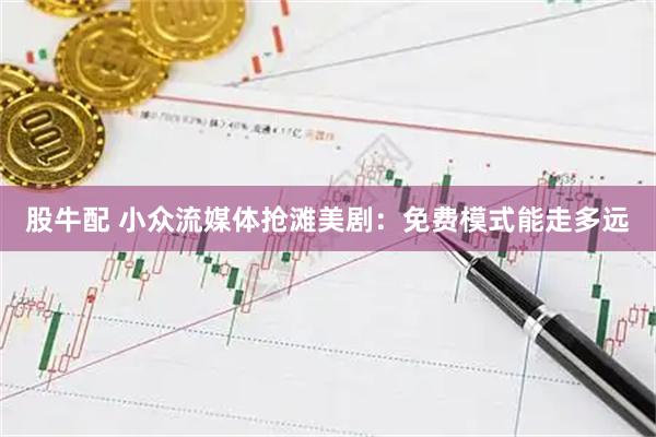 股牛配 小众流媒体抢滩美剧:免费模式能走多远