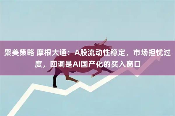 聚美策略 摩根大通：A股流动性稳定，市场担忧过度，回调是AI国产化的买入窗口