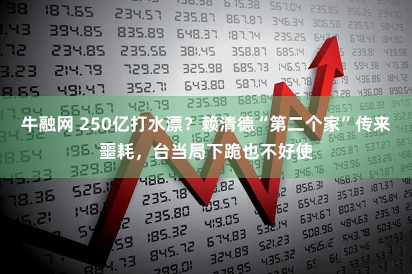 牛融网 250亿打水漂？赖清德“第二个家”传来噩耗，台当局下跪也不好使