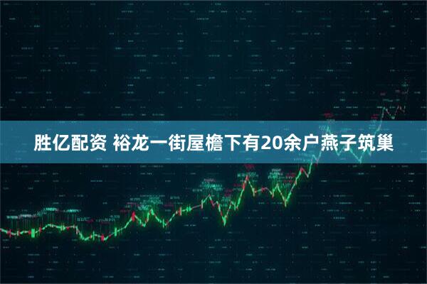 胜亿配资 裕龙一街屋檐下有20余户燕子筑巢