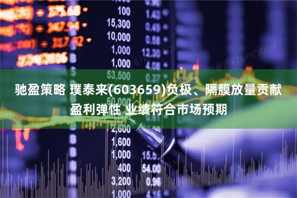 驰盈策略 璞泰来(603659)负极、隔膜放量贡献盈利弹性 业绩符合市场预期
